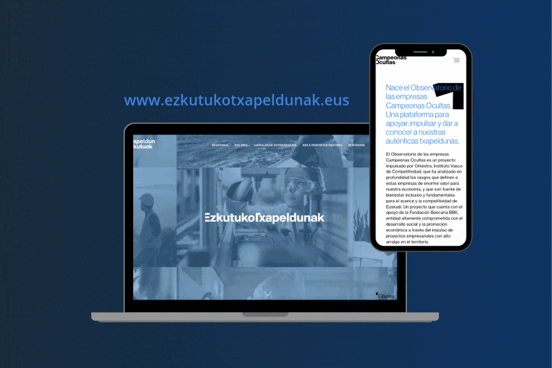 BBK-k eta Orkestrak behatoki bat sortu dute Euskal Autonomia Erkidegoko Ezkutuko Txapeldunak ikusarazteko, babesteko eta bultzatzeko