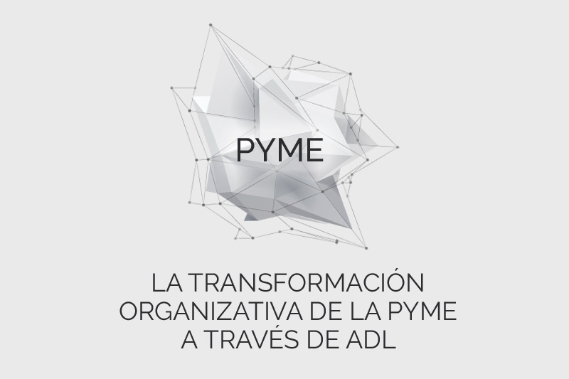 Taller transformacion organizativa de la pyme a traves de ADL web